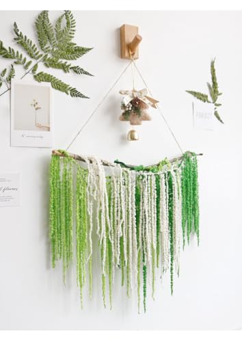 5 Pcs Natural Preserved Hanging Amaranthus Flowers, 23-30 Inch Spring Green