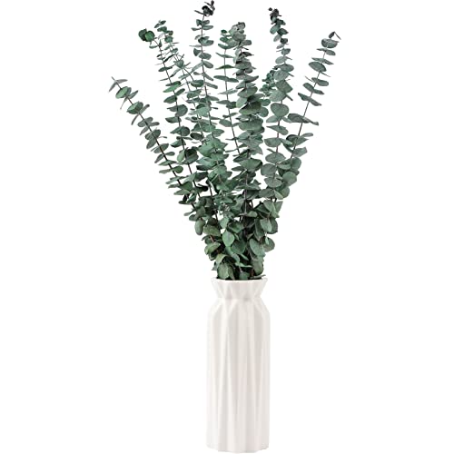 10 Pcs Natural Dried Eucalyptus Stems - 17 Inch Branches for Shower