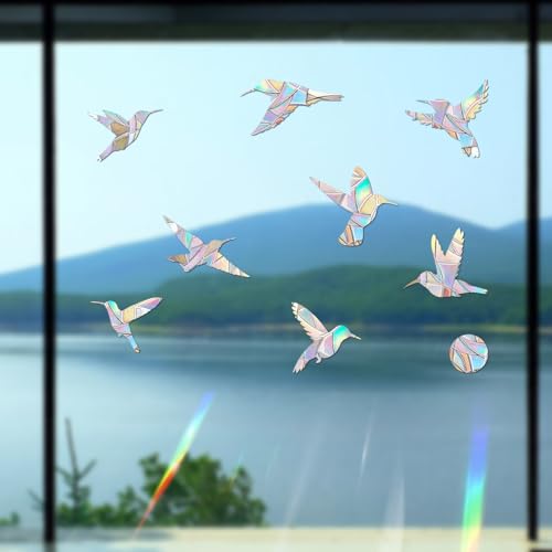 Bird Strike Window Clings - 48 Pieces Hummingbird & Circle Decals