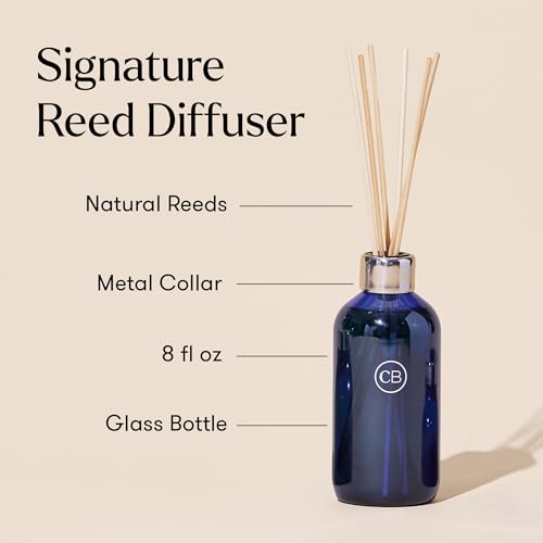 Volcano Reed Diffuser Set - Scented Fragrance Oil & Glass Bottle (8 oz)
