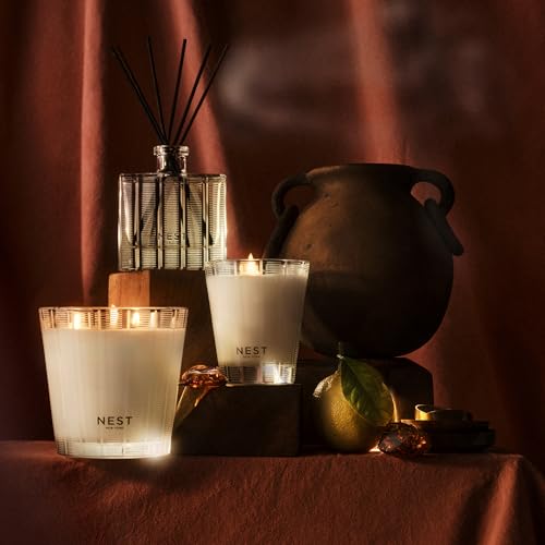Moroccan Amber Reed Diffuser Liquid Refill, 5.9 fl oz
