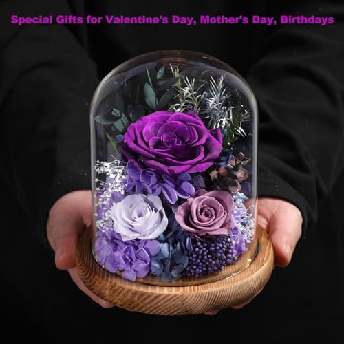 Preserved Purple Rose in Glass Dome with LED Lights - Eternal Flower Gift
