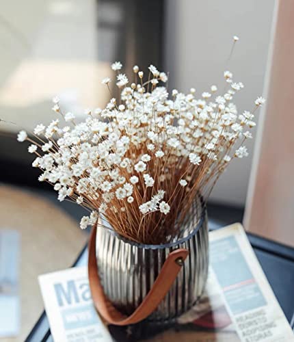 Natural Dried Mini Star Daisy Flowers - 200 Stems White Bouquet