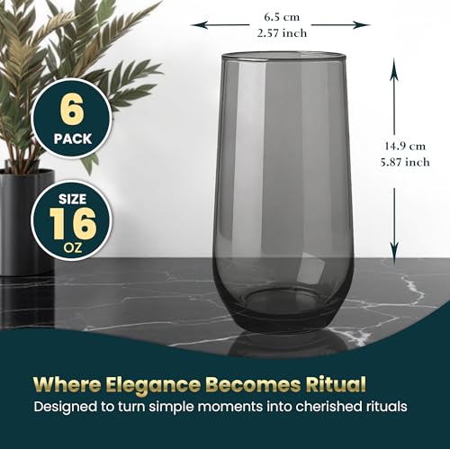 Biandeco Set of 6 Grey Smoked Glasses 16 oz - Modern Black Charcoal Drinkware
