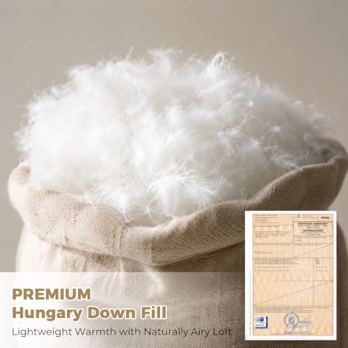 Organic Cotton Down Comforter Queen Size | 750+ Fill Power, Gray
