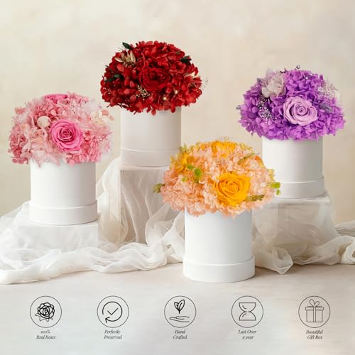 ROSEROSE Preserved Champagne Flowers Bouquet Small Gift Box for Women