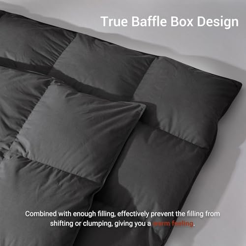 All Season Goose Feather Down Comforter - Queen Duvet Insert, Dark Grey