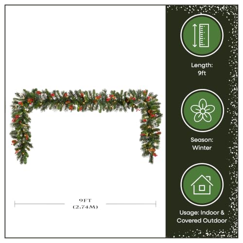 National Tree Company 9ft Pre-Lit Wintry Pine Flocked Christmas Garland - Indoor/Outdoor Decor