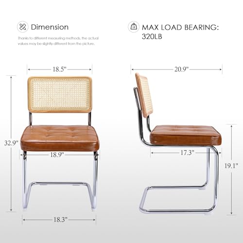 Natural Rattan Dining Chairs - Mid Century Modern Cantilever Set of 2
