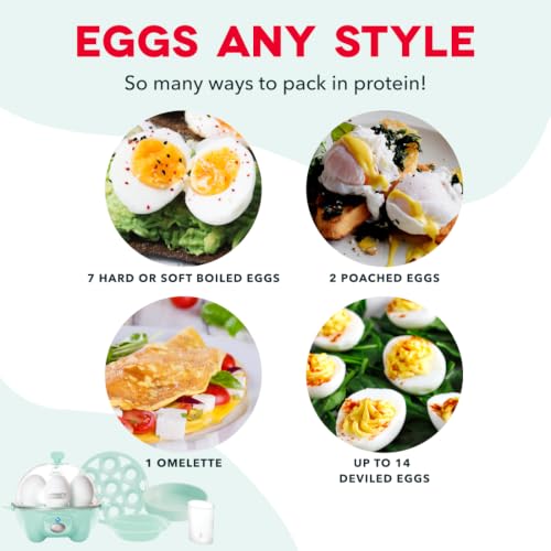 Rapid Electric Egg Cooker - 7-Egg Boiler, Poacher & Omelet Maker