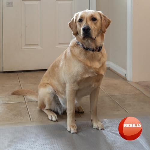 Heavy-Duty Pet Carpet Protector - 15" x 48" Clear Scratch-Stopper Runner