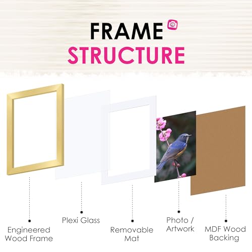5x7 Gold Picture Frame Set of 4 - Wall & Tabletop Photo Frames