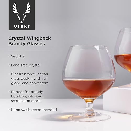 Viski Cognac Glass Set - Wingback Brandy Glasses for Whiskey & Cocktails, 17oz, Set of 2