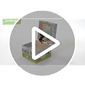 Musical Horse Jewelry Box with Pullout Drawer and Spinning Figurine