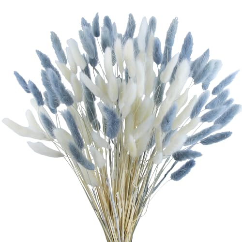 120pcs Dried Bunny Tails Flowers, 17-Inch Natural Lagurus Ovatus Stems