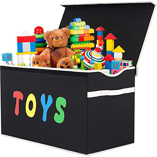 Extra Large Collapsible Toy Chest Storage Box with Lid - Black Linen