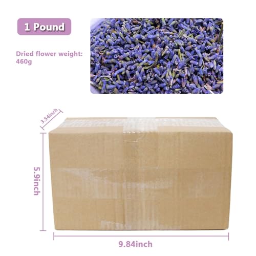 Dried Lavender Flowers, 1 lb Natural French Blue 5A Buds for DIY Crafts