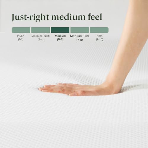 10-Inch Queen Green Tea Cooling Memory Foam Mattress - Medium Feel