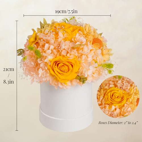 ROSEROSE Preserved Champagne Flowers Bouquet Small Gift Box for Women