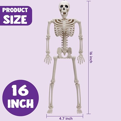 16-Inch Posable Halloween Skeletons (5-Pack) - Full Body Decor Set