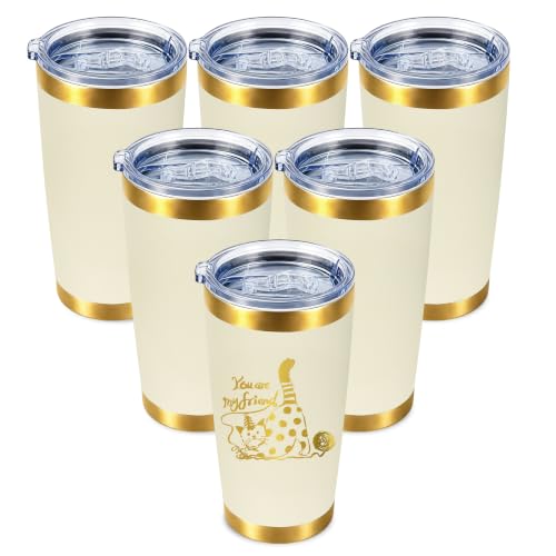 20 oz Insulated Tumbler (White, 6 Pack) STELOXIA Double-Wall Stainless Steel