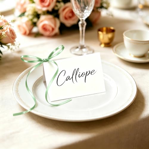 60 Set Pre-Tied Bow Wedding Name Place Cards with Satin Ribbon Sage Green