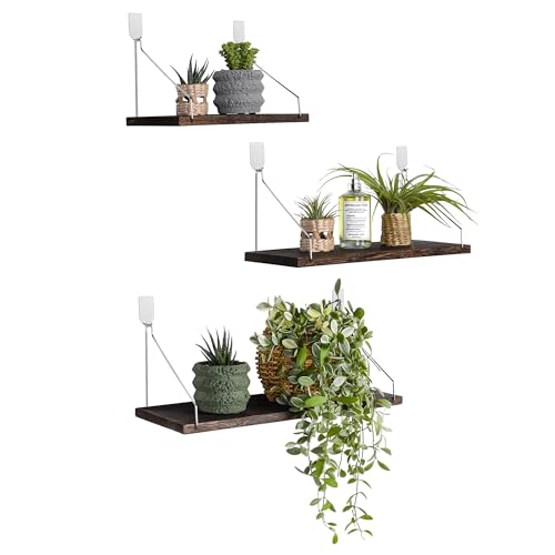 Rustic Wood Floating Wall Shelves - Set of 3 No-Drill Display Racks