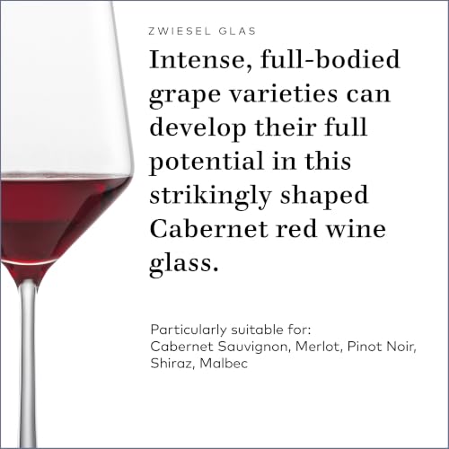 Tritan Crystal Red Wine Glasses, 19 oz Cabernet Stemware Set of 4