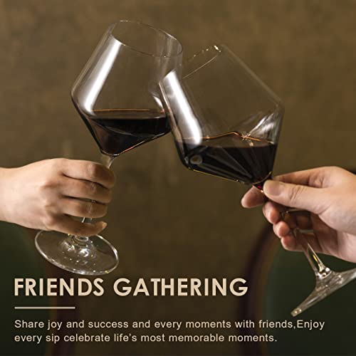 Coccot Crystal Wine Glasses Set of 6, 16oz, Lead-Free Hand Blown Italian Style Burgundy Stemware