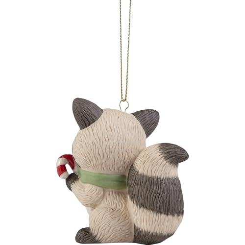 Precious Moments Raccoon Mini Tree Ornament Forest Wildlife Christmas Keepsake