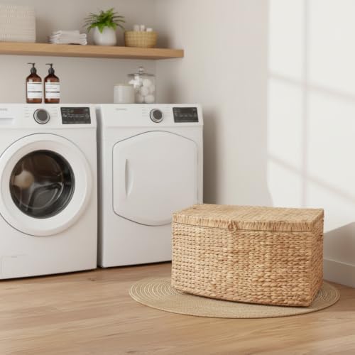 SOL HOME Water Hyacinth Woven Wicker Storage Trunk with Handles - Natural Brown, 26x19x14 in