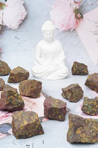 Natural Raw Fruit Jasper Rough Stones - 1 lb Bulk for Tumbling & Cabbing