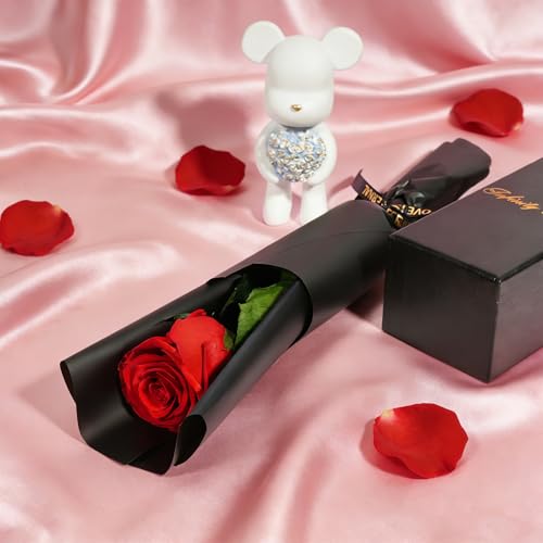 Preserved Real Rose Gift for Her - Eternal Handcrafted Flower in Gift Box
