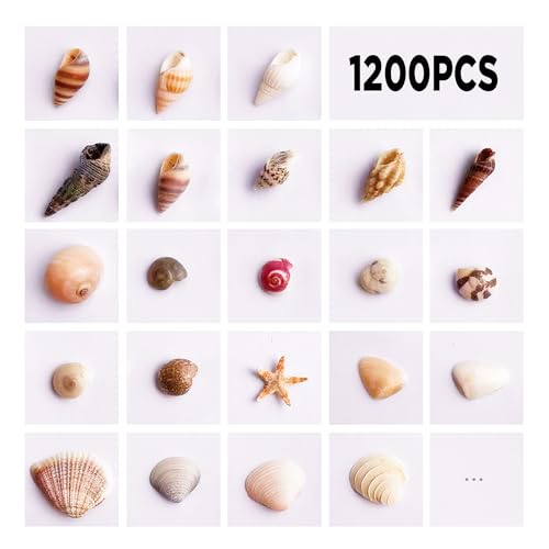 1200 Pcs Natural Mixed Tiny Seashells & 10 Starfish for DIY Crafts & Decor