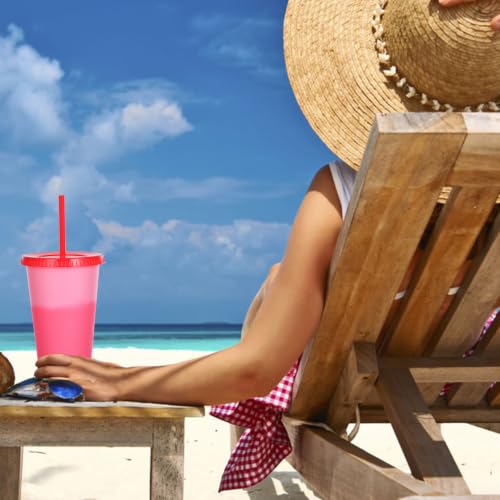 24oz Color Changing Reusable Tumblers with Lids and Straws - 5 Pack