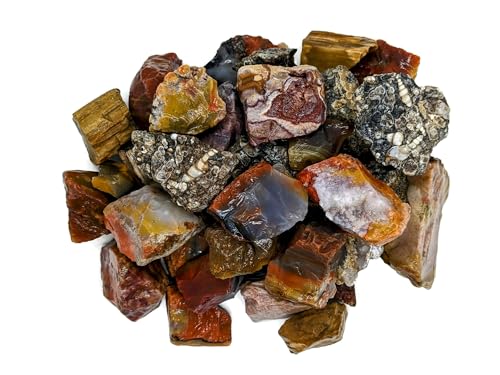 3 lbs Bulk Rough Agate, Jasper, and Petrified Wood Stone Mix, 1-2 Inch