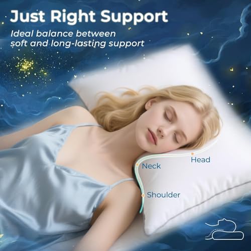 Sasttie Queen Size Bed Pillows Set of 2 - Down Alternative Hotel Quality