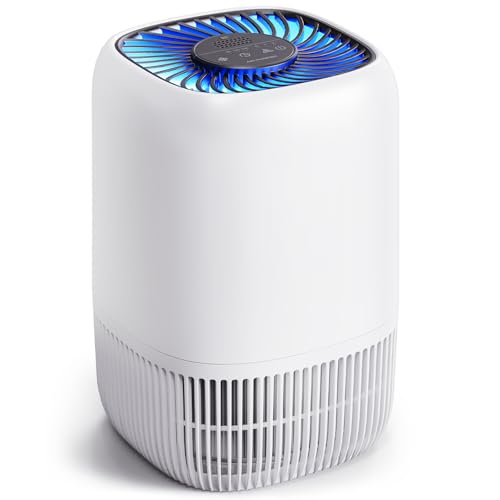 VOOPNU True HEPA Air Purifier for Home, Pet Hair, Odors & Smoke