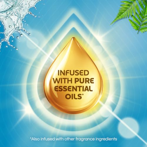 Plug-In Scented Oil Refills (10 Pack) - Fresh Waters Home Air Freshener