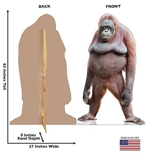 Cardboard People Orangutan Life-Size Cardboard Cutout for Events & Decor