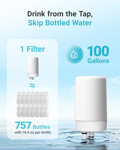 Faucet Water Filter Replacement Cartridges, 2-Pack - Model 7027W