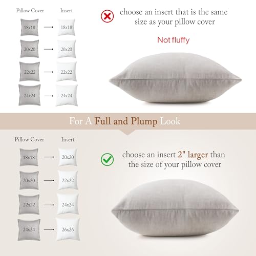 puredown 24x24 Euro Pillow Inserts - Pack of 2 Feather Down Stuffers