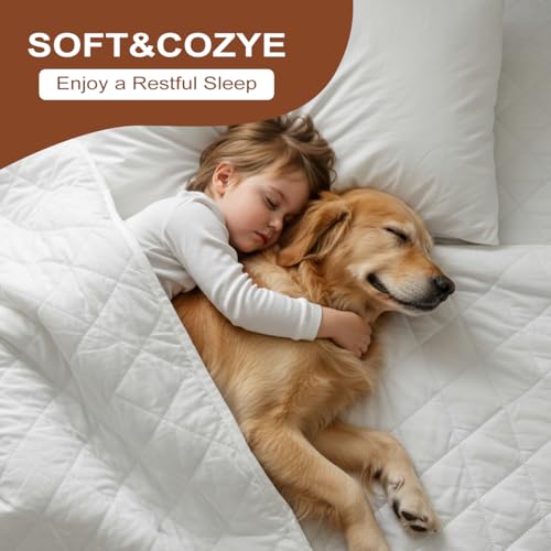 Waterproof Mattress Protector - Full Size, Ultra-Soft, Breathable