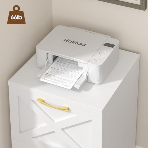 2-Drawer Rolling File Cabinet, Farmhouse Under Desk Printer Stand - White