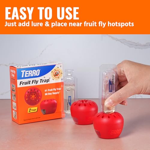 TERRO Fruit Fly Trap 4-Pack with 180-Day Lure Supply - Indoor Pest Control