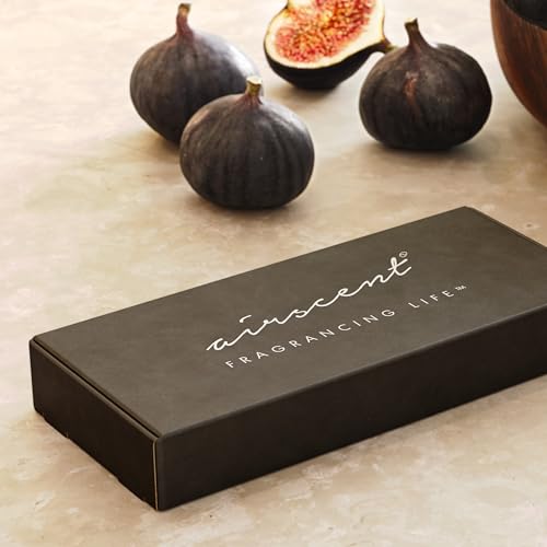 Hotel Collection Fragrance Oil Sampler Gift Set - 5 Pack, 10ml Oils