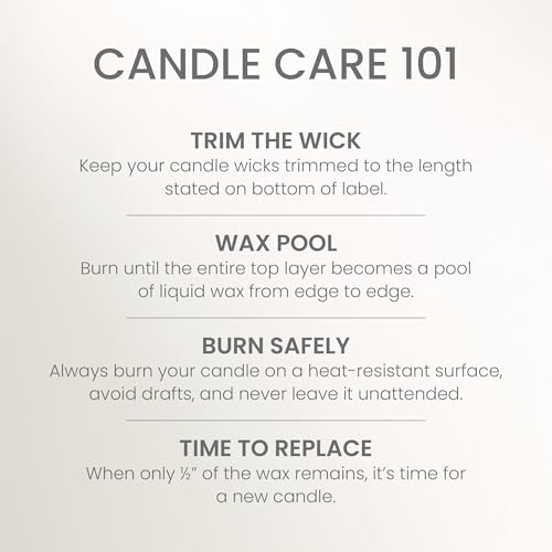 Yankee Candle Large Tumbler Scented Candle with up to 80 Hour Burn Time, Premium Plant Wax Blend for Consistent Burn, 20 oz Tumbler Candle with Room Filling Fragrance, White Spruce & Grapefruit