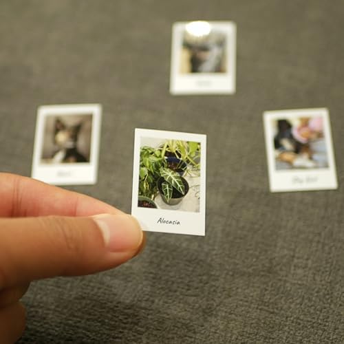 Custom Mini Retro Photo Prints with Captions - 1x1.5 Inch Wallet Size