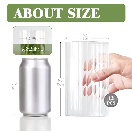 12-Pack Clear Ribbed Glass Cylinder Vases (6 Inch) for Table Centerpieces