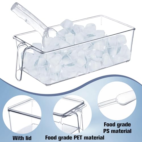Clear Plastic Ice Storage Bin for Freezer with Lid and Scoop (12.4 Inch)